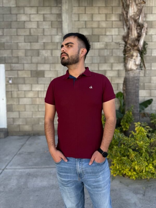 PLAYERA CABALLERO POLO CK - Image 19