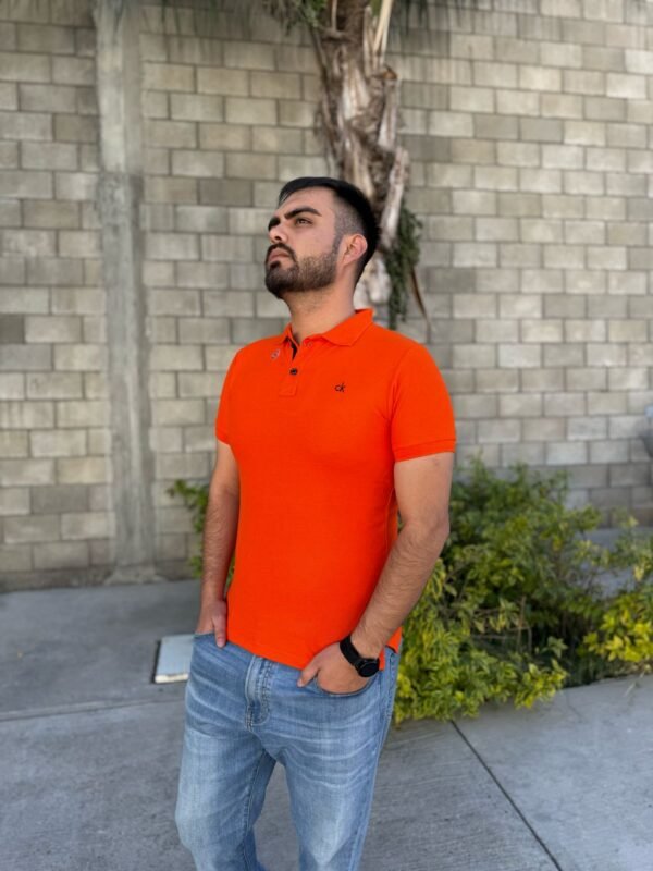 PLAYERA CABALLERO POLO CK - Image 2