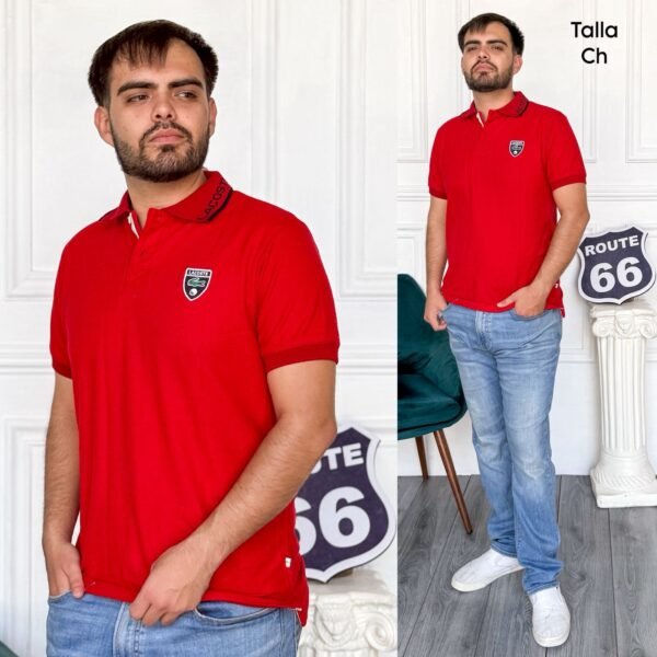 PLAYERA CABALLERO POLO LCST - Image 7