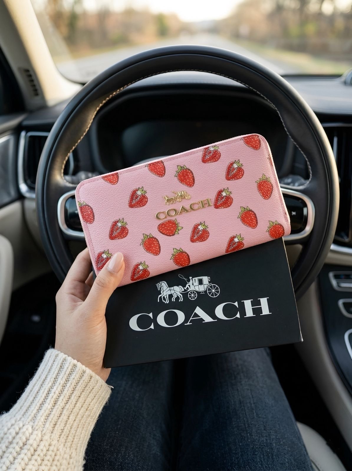 CARTERA CCH ESTAMPADO - Image 3
