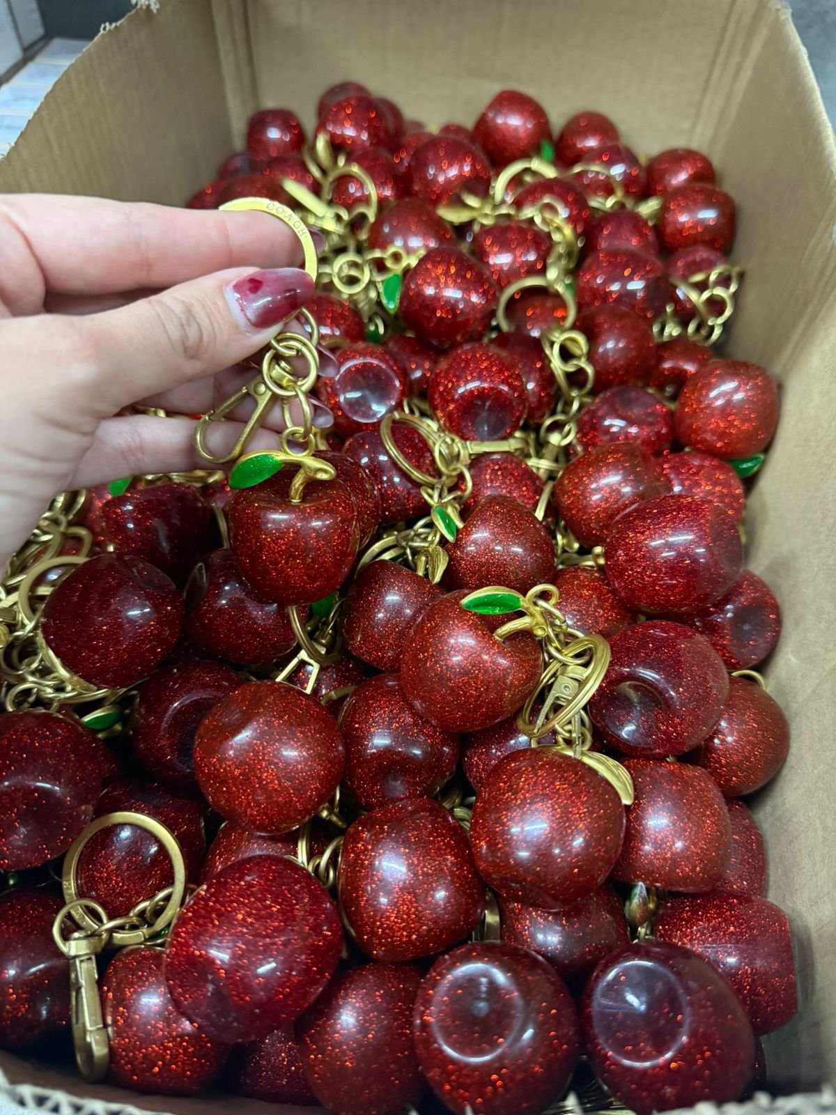 LLAVERO MANZANITA CCH - Image 4