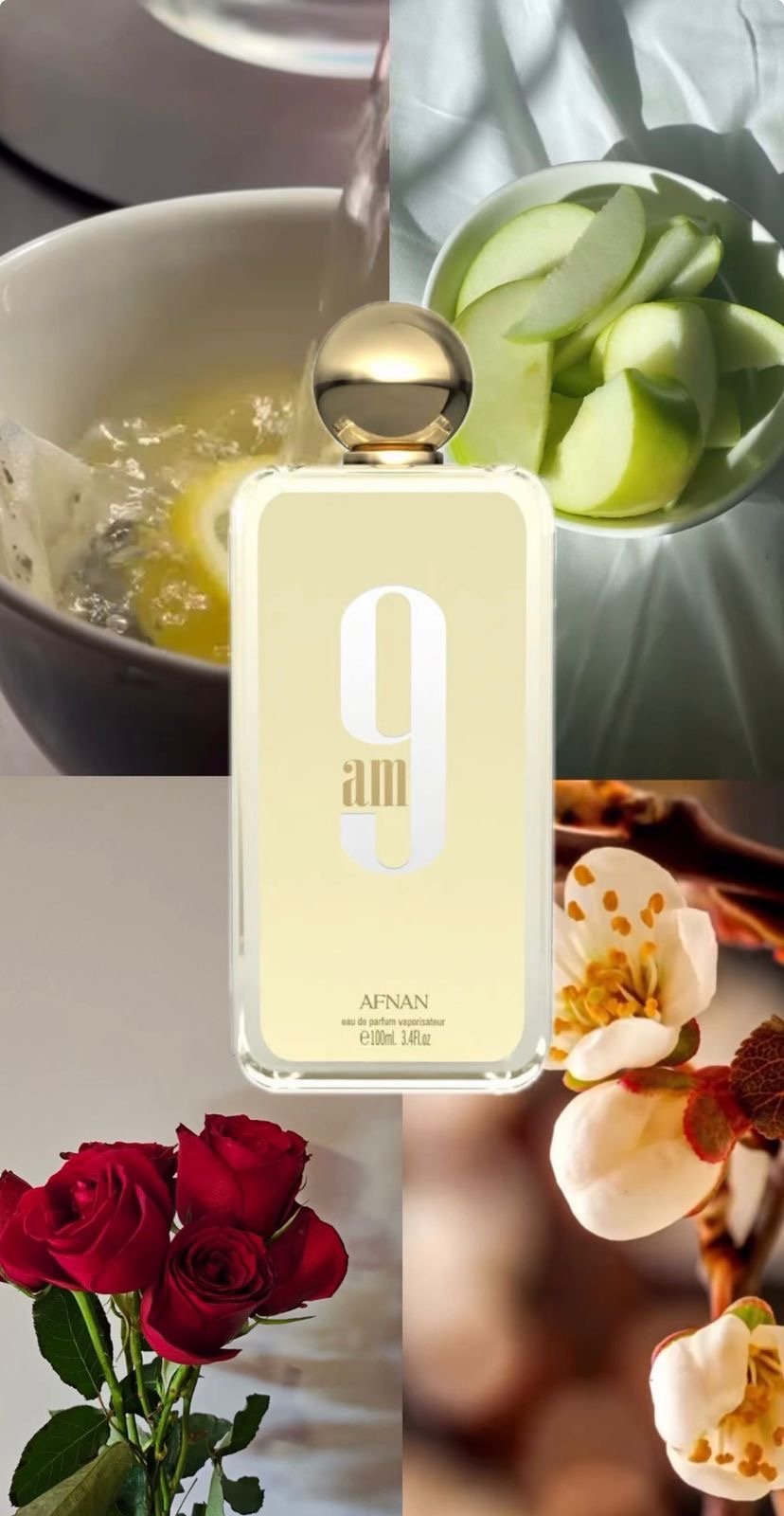 PERFUME ARABE DAMA AM9 AFNA - Image 3