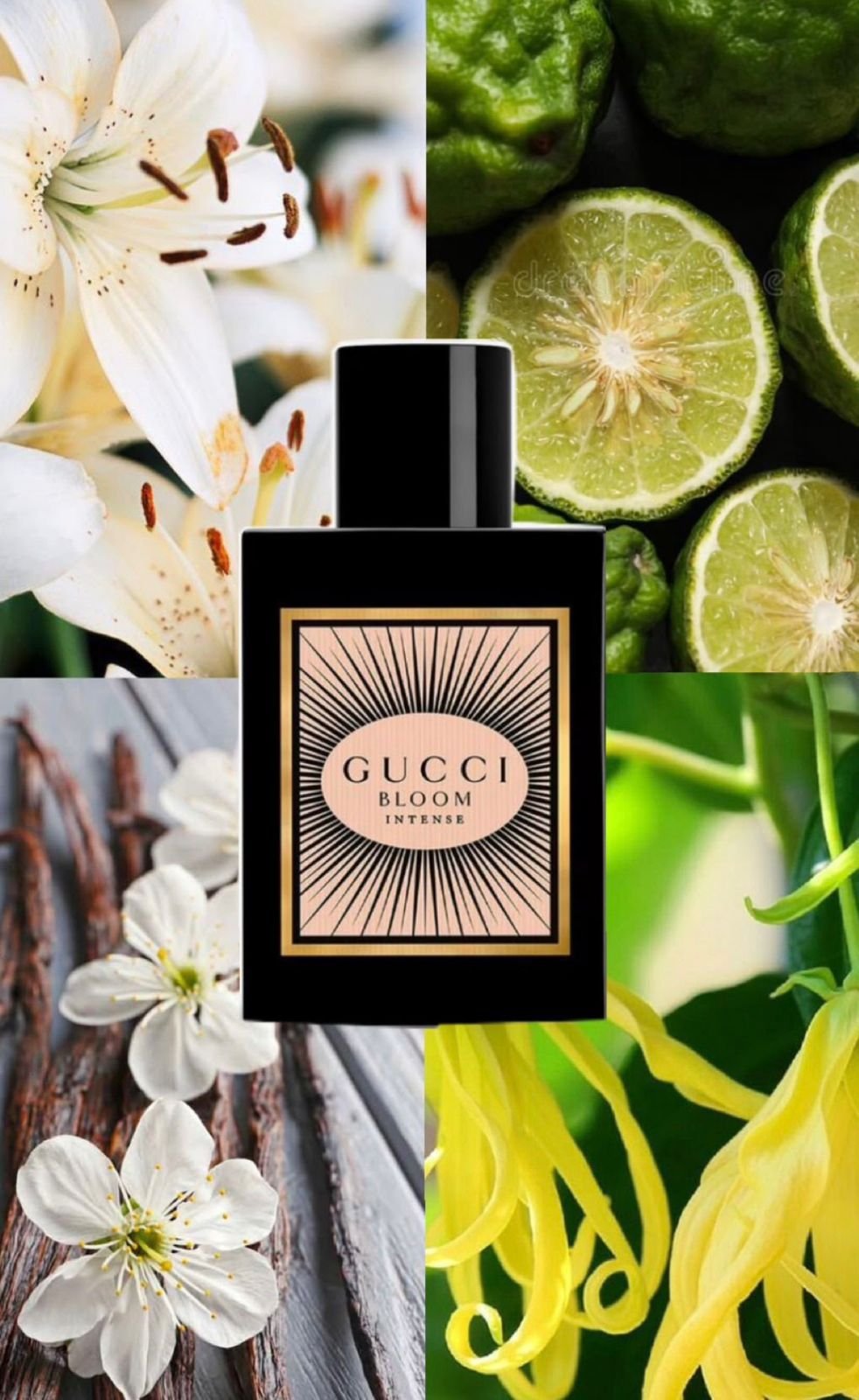 PERFUME DAMA GCCI BLOM INTENSE - Image 4
