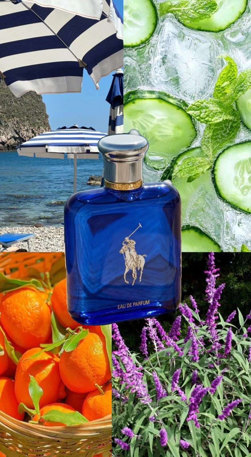 PERFUME CABALLERO POLO BLUE - Image 2