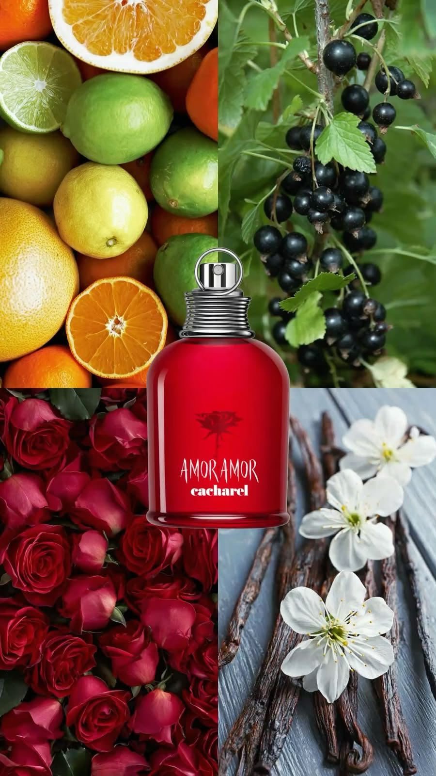 PERFUME DAMA AMR AMOR - Image 4