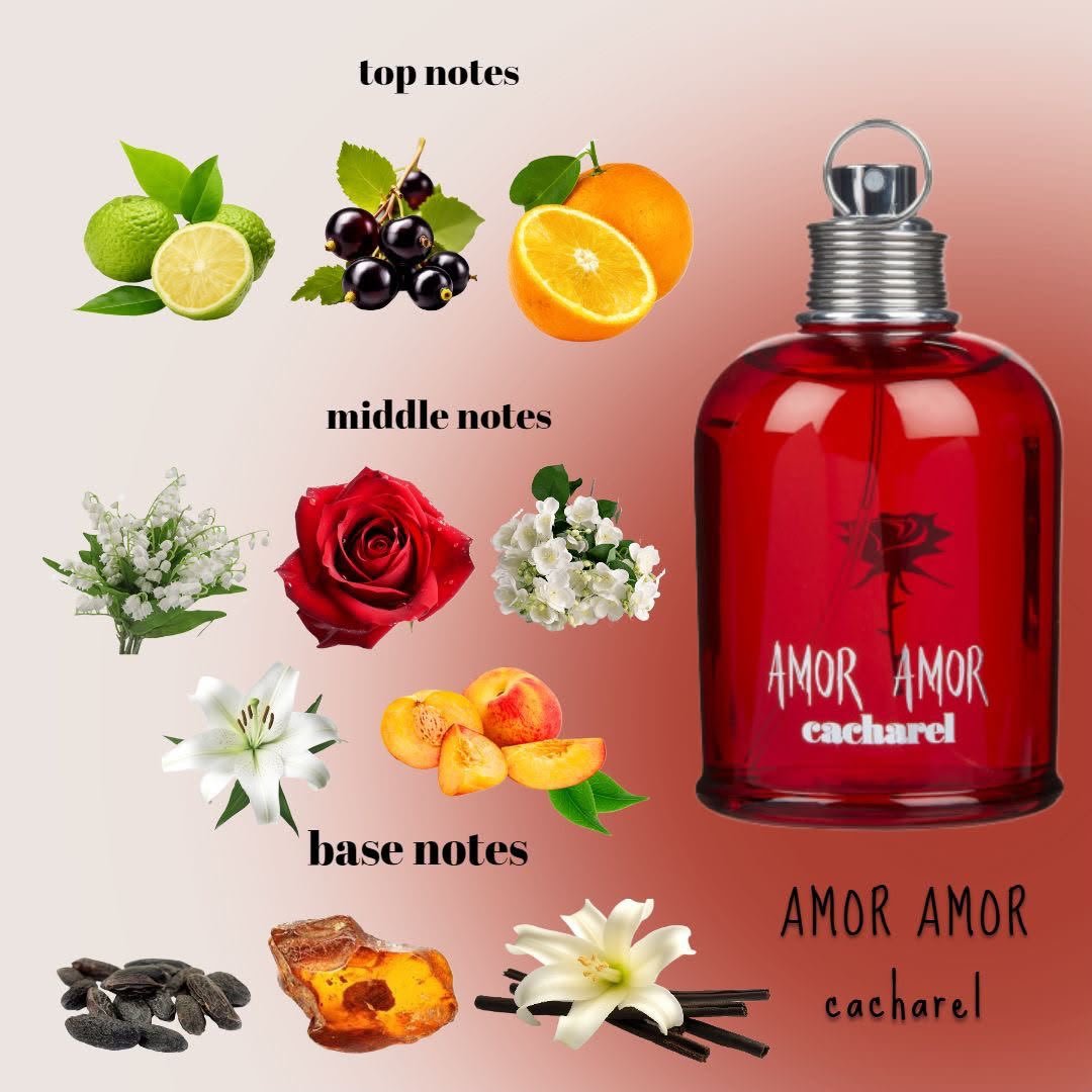 PERFUME DAMA AMR AMOR - Image 3
