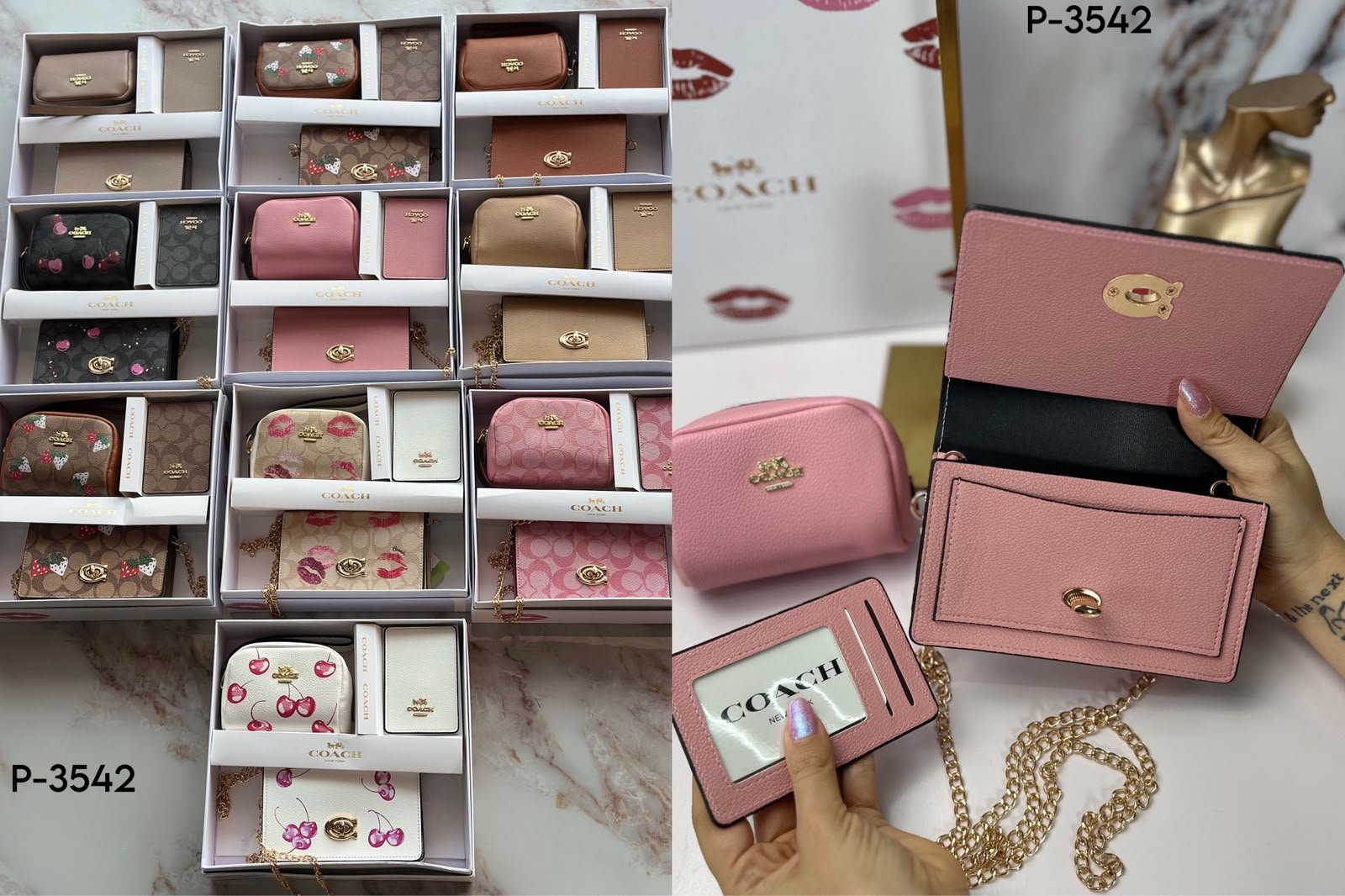 SET CARTERA CCH 3 EN 1- 3542