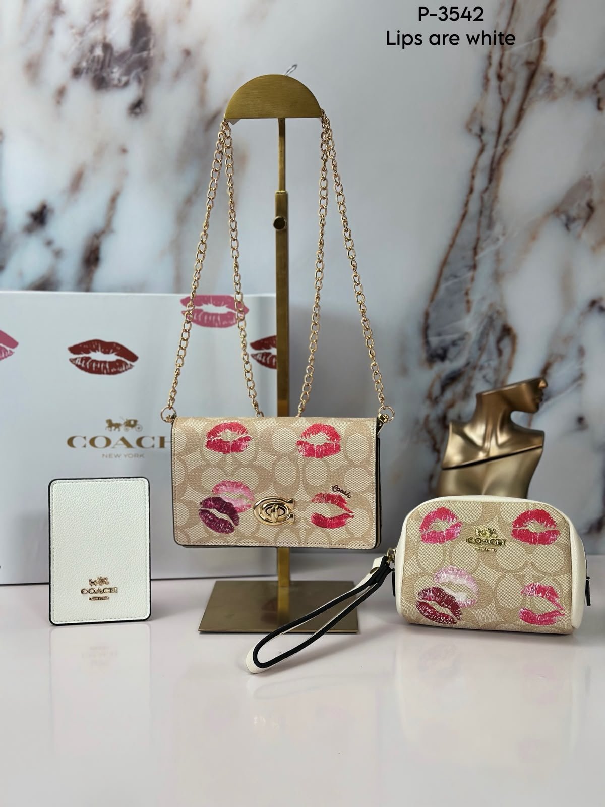 SET CARTERA CCH 3 EN 1- 3542 - Image 11