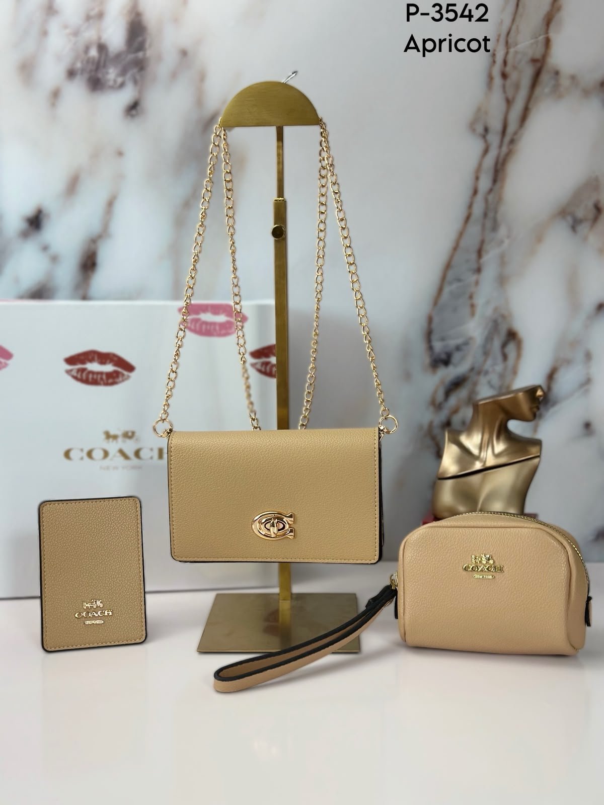 SET CARTERA CCH 3 EN 1- 3542 - Image 9