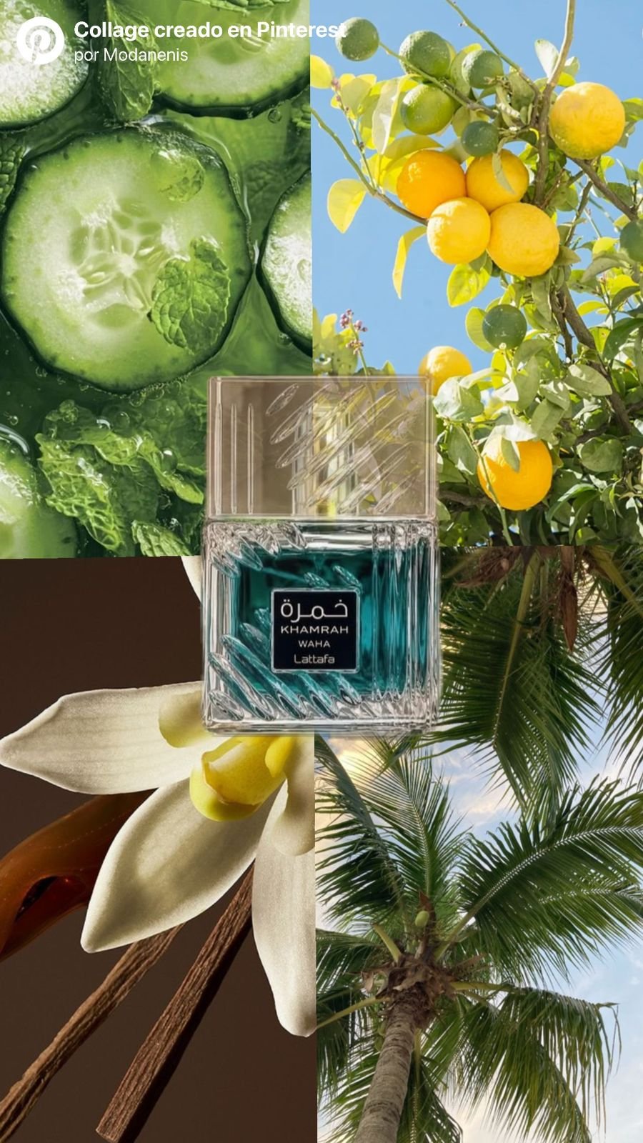 PERFUME UNISEX KHAMRAH WAHA - Image 3